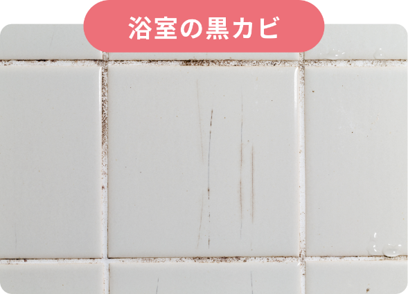 浴室の黒カビ